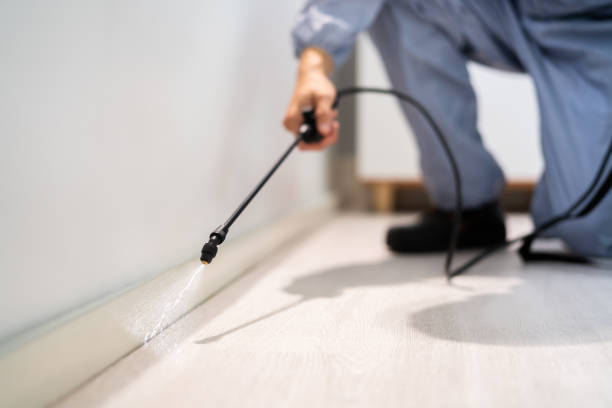Licensed Termite Control service in Mount Pulaski, IL - Nex Pest Control