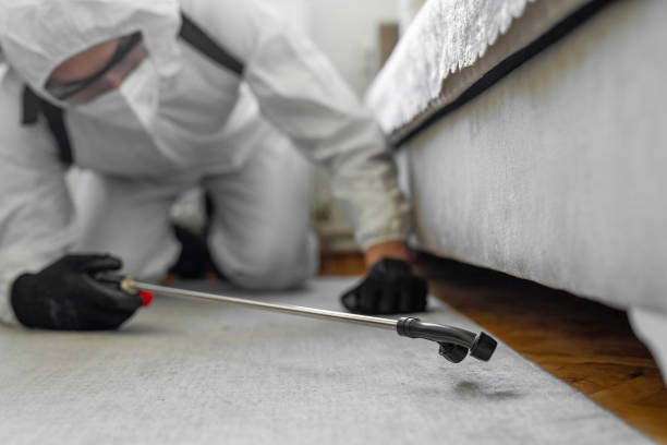 Professional Termite Control technician working in Mount Pulaski, IL