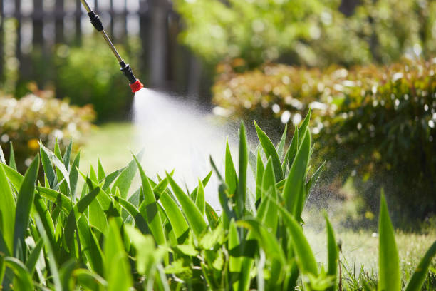 24/7 Emergency Termite Control experts in Mount Pulaski, IL