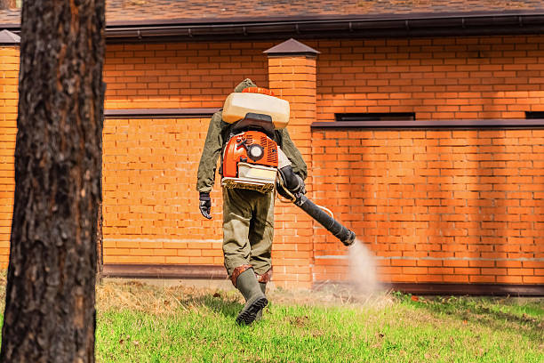 Top rated local Termite Control specialists in Mount Pulaski, IL